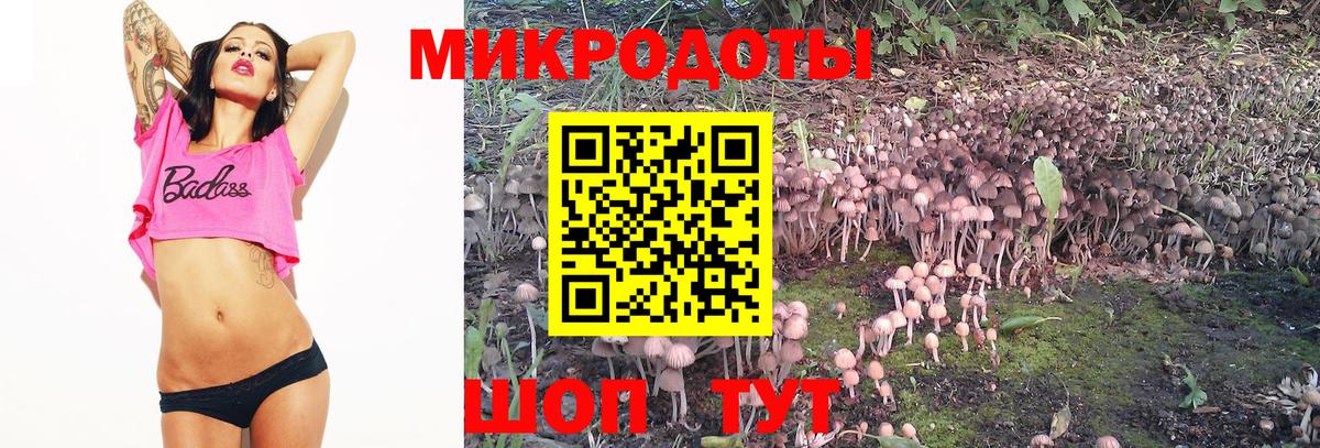 Галлюциногенные грибы Psilocybine cubensis  Вход с VPN  Камышин 