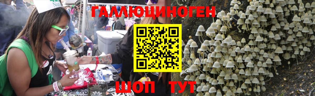 Галлюциногенные грибы Psilocybine cubensis Камышин